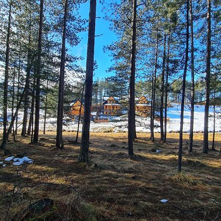 Tornik Studio Zlatibor Exteriör bild