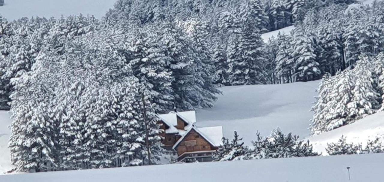 Tornik Studio Zlatibor Exteriör bild